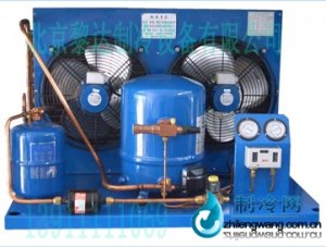 北京安康并聯機組