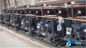 意大利都靈冷庫專用機組