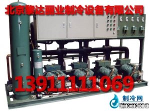 冷庫專用比澤爾并聯機組