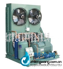 立式比澤爾壓縮機